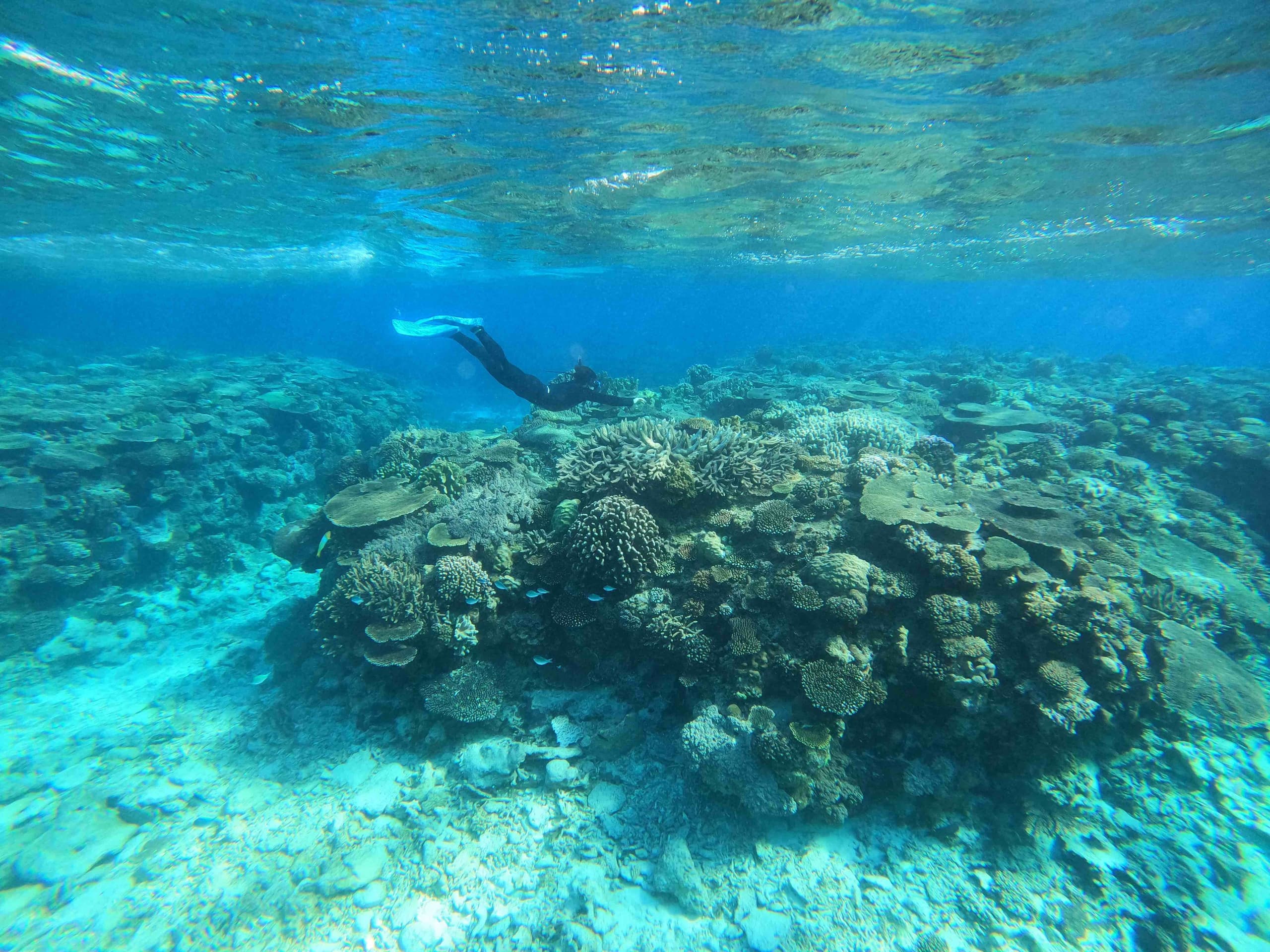 gopr9963.jpg